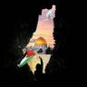 Фото профиля أثر الفراشة