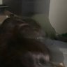 onaa 的头像