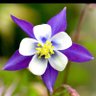 Profilbild von gardengirl789