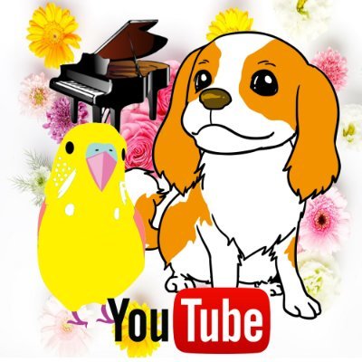 KYAPIA TV❤動物と音楽♬犬鳥のママ🐶🐥's profile picture