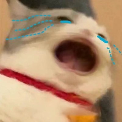 vQ3EXuoims79621's profile picture