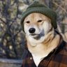john's profile picture