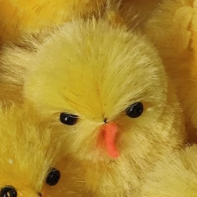 Mmiyasha's profile picture
