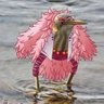 praSADBOY's profile picture