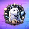 Shiba Trading 的头像