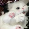 Profilbild von 灿灿