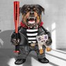Фото профиля The RottFella-The Devil's Dog ! Back in the swamp