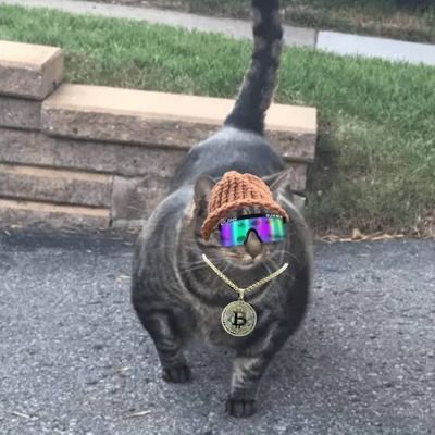 sugar_kaka's profile picture