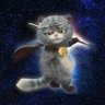 币圈猫王Share 的头像