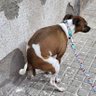 °_° profil fotoğrafı