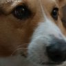 ダーヤマ's profile picture