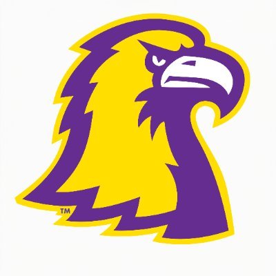 TTU Football's profile picture
