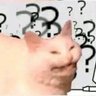 Scilene's profile picture