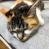 さ's profile picture