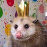 Profilbild von tonkatsu