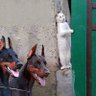 Фото профиля xelil