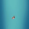 m⁷🐋 profil fotoğrafı