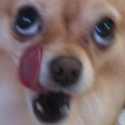 fromhell_guy's profile picture