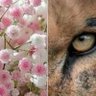 Zilda S. profil fotoğrafı
