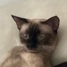 Фото профиля pedro