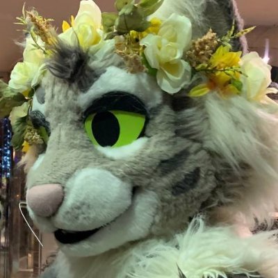 cat's profile picture