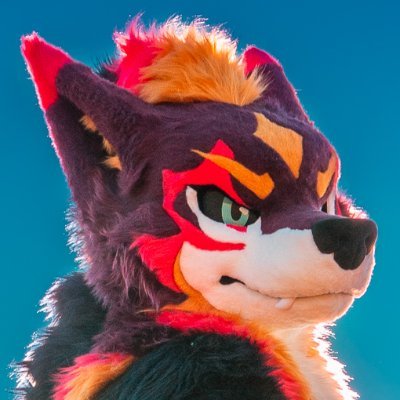 暮れKure ✨🌠 / Kiba Wolf (牙ウルフ)➲MFF's profile picture