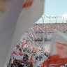 ForzaSevillaCampeon's profile picture