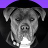 Фото профиля ImmaDawgWoof