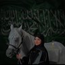 نيار's profile picture