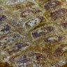 Фото профиля あいうえお
