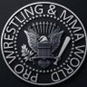 Pro Wrestling World's profile picture