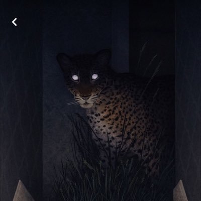 things to see's profile picture