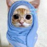 Bake Kok's profile picture