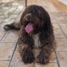 Фото профиля Kike Castilla 🐾