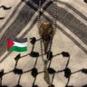 Фото профиля S.O.P.P. 💔🐢💉❤️🇳🇿 #ally 🇺🇦🇵🇸💚🏳️🌈