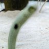 北のモンスター profil fotoğrafı