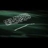 عمر بن علي's profile picture