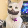 ジェムス ポンド's profile picture