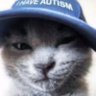 Profilbild von tommy