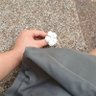 二狗 的头像