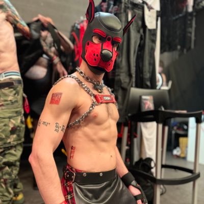 SpykeFFPup's profile picture