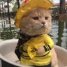 Perla Perla's profile picture