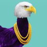 N0Mi (DaHomie)๐บ๐'s profile picture