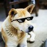 毕大能's profile picture