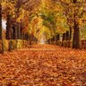 xyzzyx profil fotoğrafı