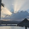 Darwin Dumpert 的头像
