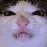 Lilly's profile picture