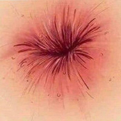FFlyGuy21's profile picture