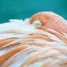 楽園の黄身 profil fotoğrafı