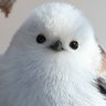シマエナガ-LOVERED🥰 profil fotoğrafı